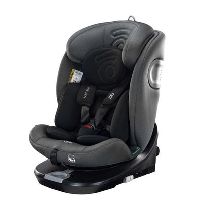 Siège auto Austen 2 I-Size de 40 à 150cm Gris Asalvo