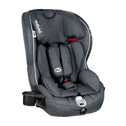 Siège auto Penguin Evolutive ISOFIX Groupe 123 MS Innovaciones